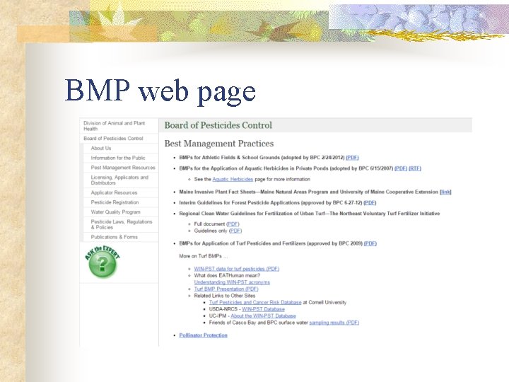 BMP web page 