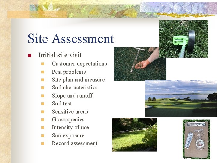 Site Assessment n Initial site visit n n n Customer expectations Pest problems Site