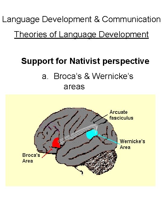 Language Development & Communication Theories of Language Development Support for Nativist perspective a. Broca’s