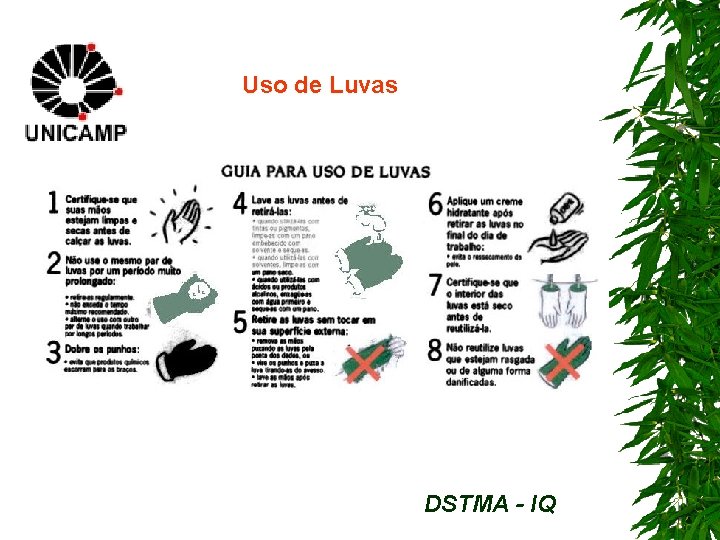 Uso de Luvas DSTMA - IQ 