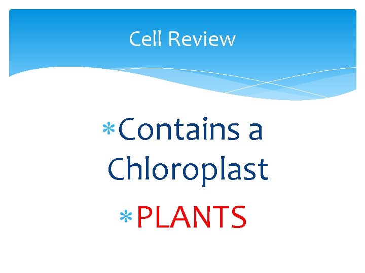 Cell Review Contains a Chloroplast PLANTS 