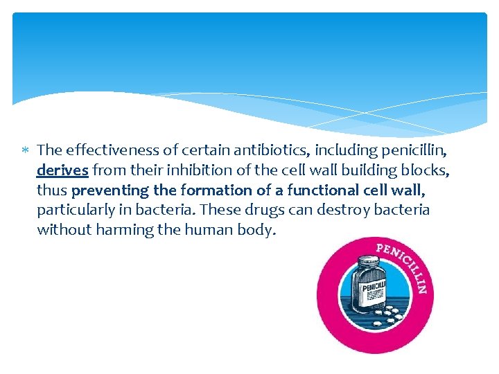  The effectiveness of certain antibiotics, including penicillin, derives from their inhibition of the