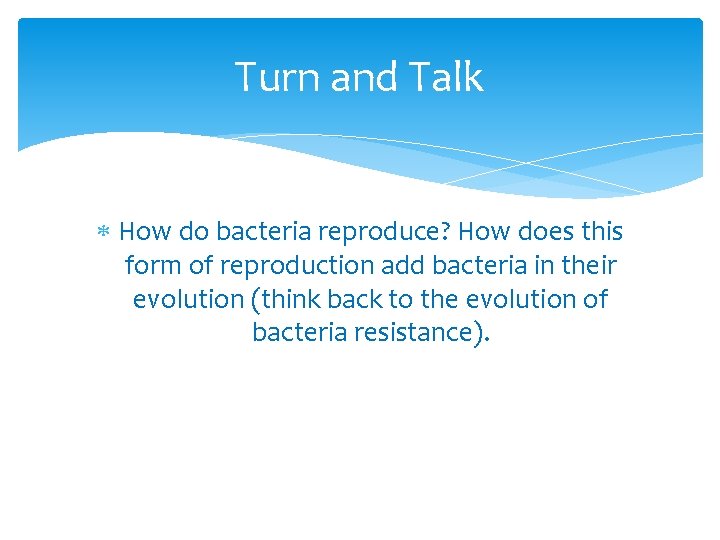 Turn and Talk How do bacteria reproduce? How does this form of reproduction add