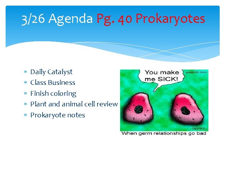 3/26 Agenda Pg. 40 Prokaryotes Daily Catalyst Class Business Finish coloring Plant and animal