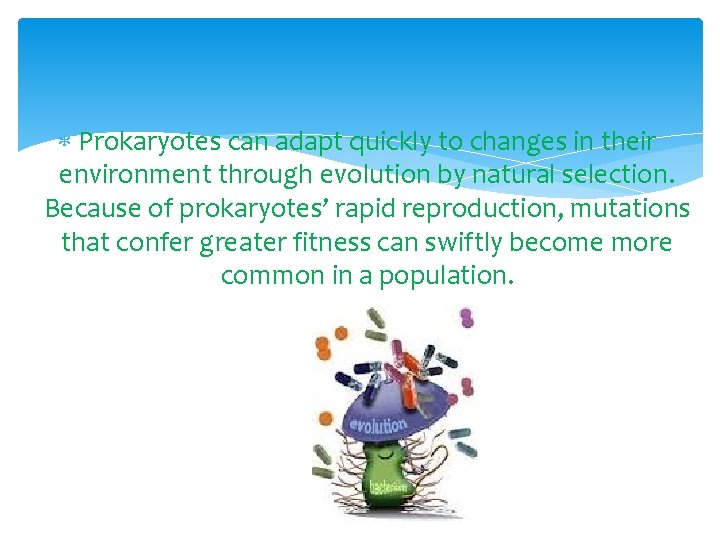 Prokaryotes can adapt quickly to changes in their environment through evolution by natural