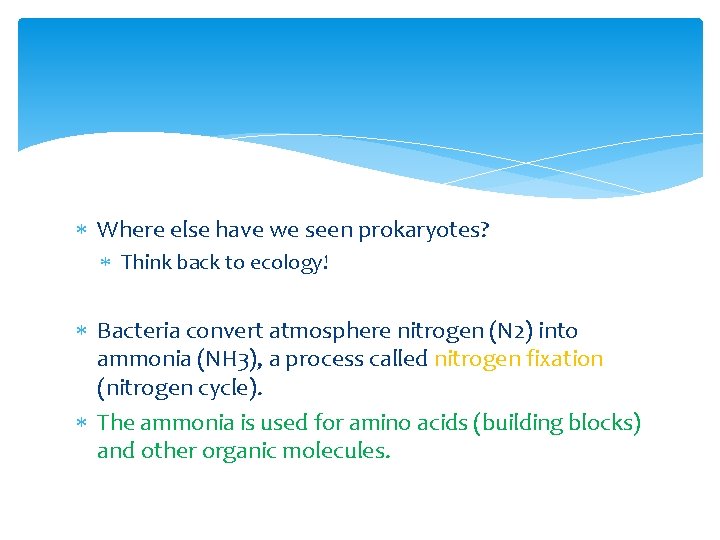  Where else have we seen prokaryotes? Think back to ecology! Bacteria convert atmosphere