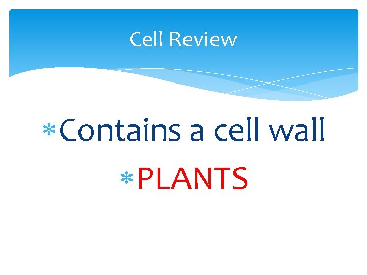 Cell Review Contains a cell wall PLANTS 