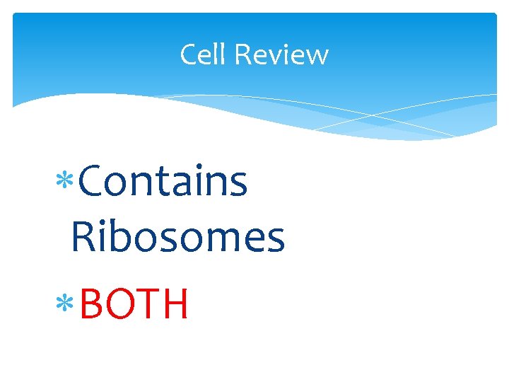 Cell Review Contains Ribosomes BOTH 