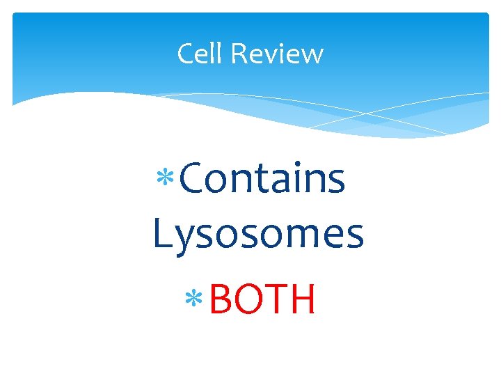 Cell Review Contains Lysosomes BOTH 