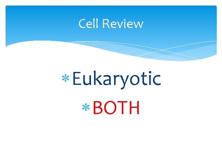 Cell Review Eukaryotic BOTH 