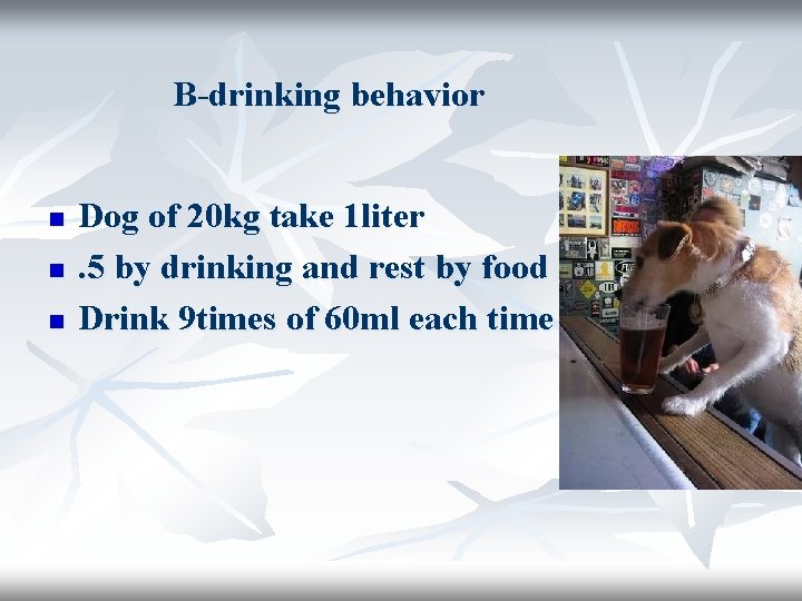 B-drinking behavior n n n Dog of 20 kg take 1 liter. 5 by