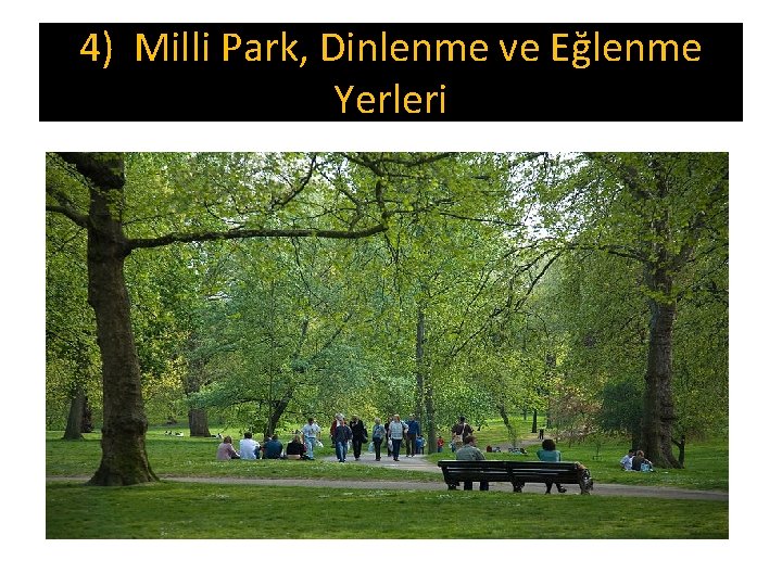 4) Milli Park, Dinlenme ve Eğlenme Yerleri 