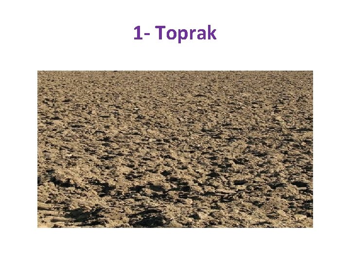 1 - Toprak 