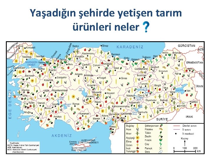 Yaşadığın şehirde yetişen tarım ürünleri neler 