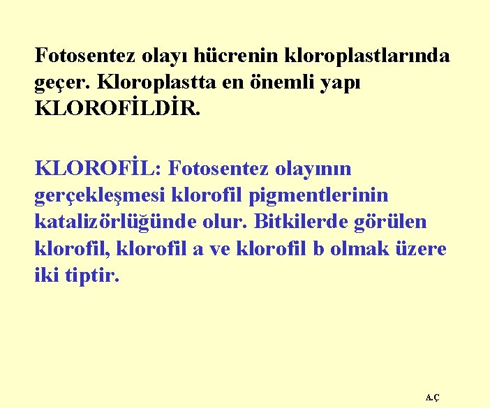Fotosentez olayı hücrenin kloroplastlarında geçer. Kloroplastta en önemli yapı KLOROFİLDİR. KLOROFİL: Fotosentez olayının gerçekleşmesi