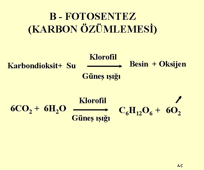 B - FOTOSENTEZ (KARBON ÖZÜMLEMESİ) Karbondioksit+ Su Klorofil Besin + Oksijen Güneş ışığı 6
