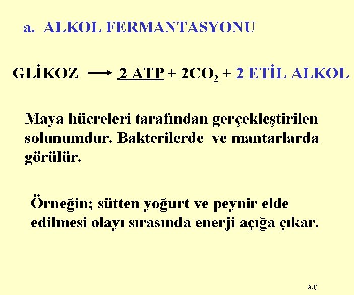 a. ALKOL FERMANTASYONU GLİKOZ 2 ATP + 2 CO 2 + 2 ETİL ALKOL