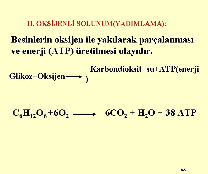 II. OKSİJENLİ SOLUNUM(YADIMLAMA): Besinlerin oksijen ile yakılarak parçalanması ve enerji (ATP) üretilmesi olayıdır. Glikoz+Oksijen