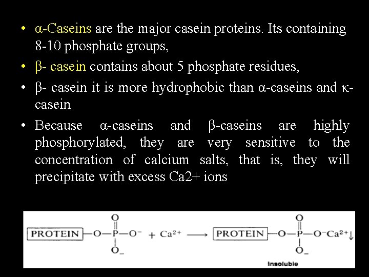  • α-Caseins are the major casein proteins. Its containing 8 -10 phosphate groups,