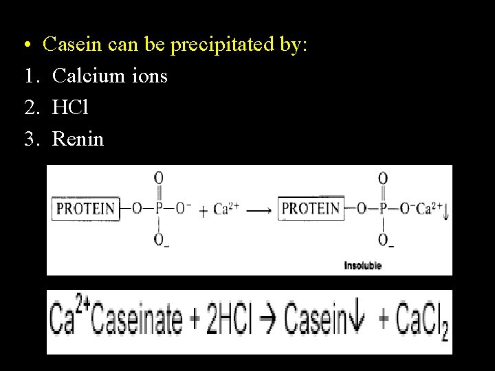  • Casein can be precipitated by: 1. Calcium ions 2. HCl 3. Renin