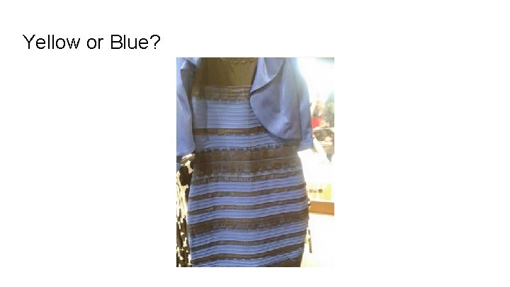 Yellow or Blue? Yellow or Blue?