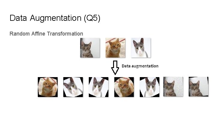 Data Augmentation (Q 5) Random Affine Transformation Data Augmentation (Q 5) Random Affine Transformation