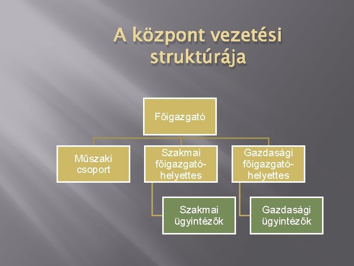 A központ vezetési struktúrája Főigazgató Műszaki csoport Szakmai főigazgatóhelyettes Szakmai ügyintézők Gazdasági főigazgatóhelyettes Gazdasági