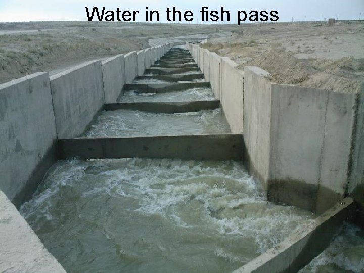 Water in the fish pass 