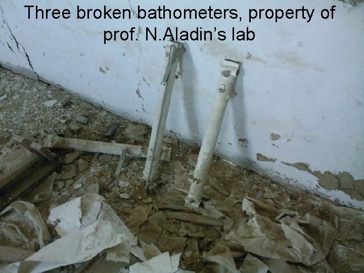 Three broken bathometers, property of prof. N. Aladin’s lab 