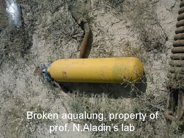 Broken aqualung, property of prof. N. Aladin’s lab 