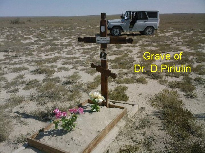 Grave of Dr. D. Piriulin 