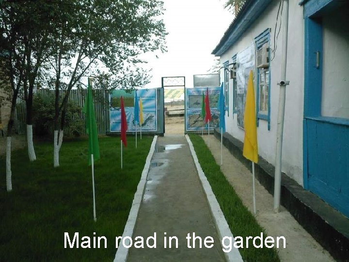 Main road in the garden 