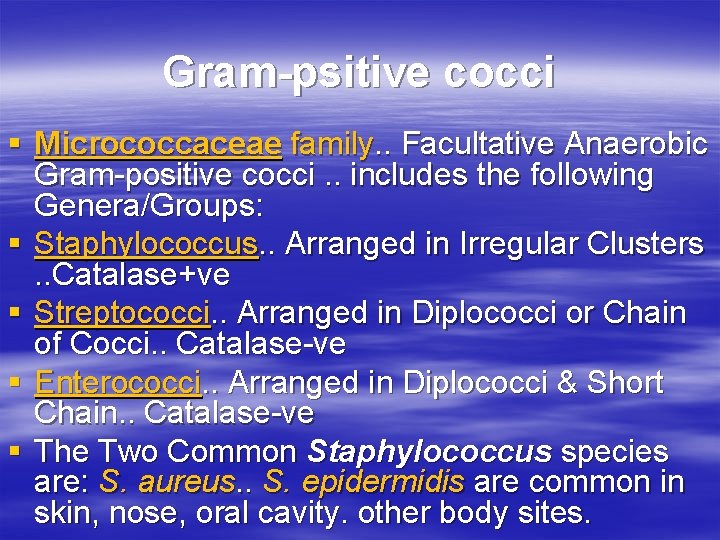 Gram-psitive cocci § Micrococcaceae family. . Facultative Anaerobic Gram-positive cocci. . includes the following