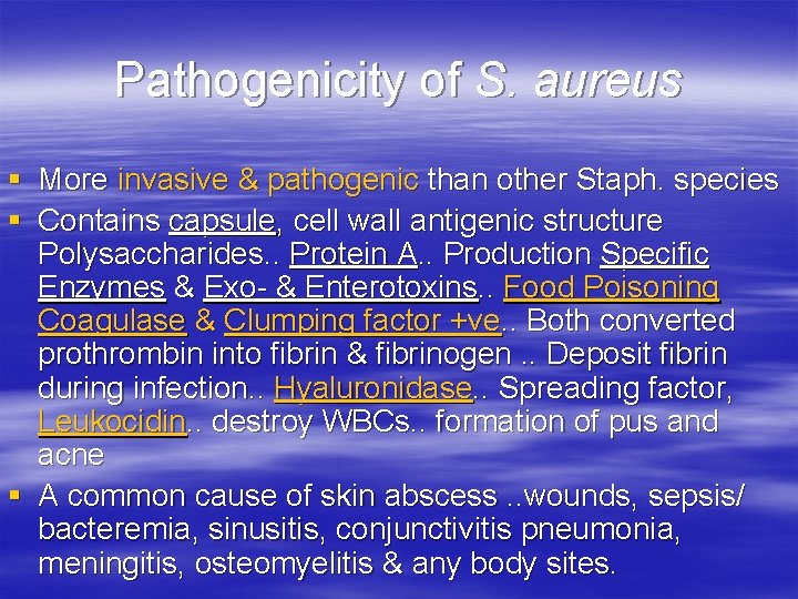 Pathogenicity of S. aureus § More invasive & pathogenic than other Staph. species §