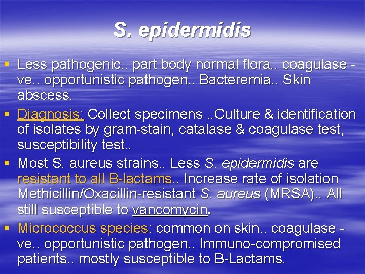 S. epidermidis § Less pathogenic. . part body normal flora. . coagulase ve. .