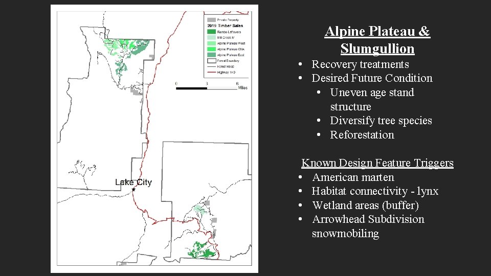 Alpine Plateau & Slumgullion • Recovery treatments • Desired Future Condition • Uneven age