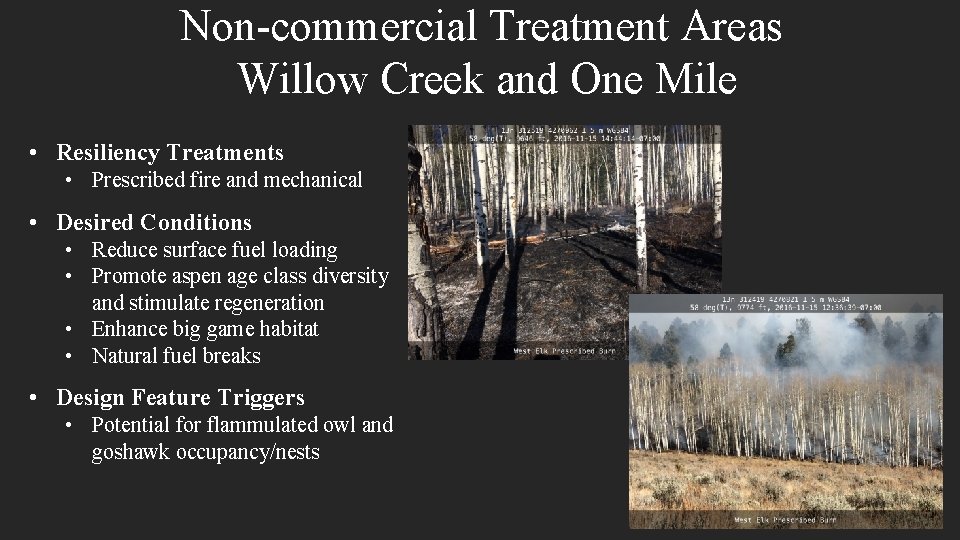 Non-commercial Treatment Areas Willow Creek and One Mile • Resiliency Treatments • Prescribed fire