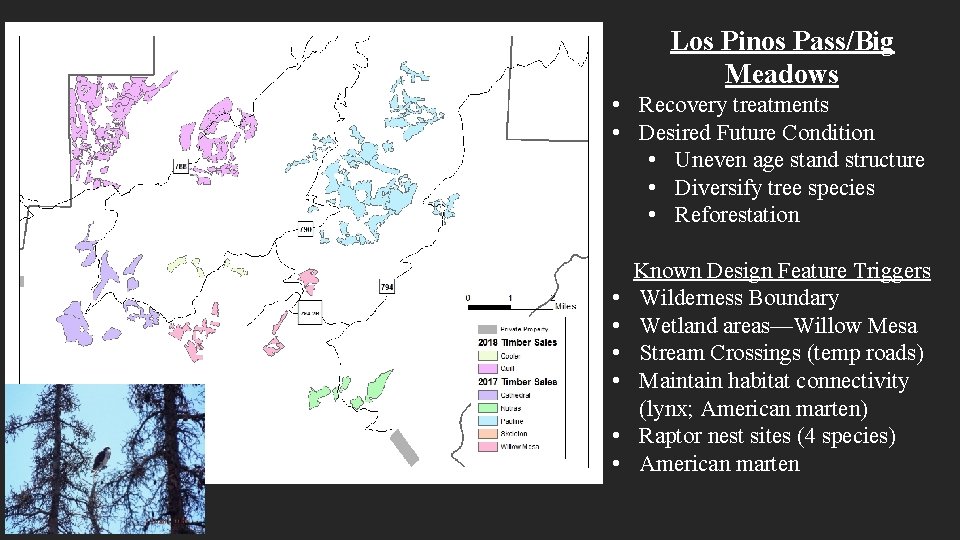 Los Pinos Pass/Big Meadows • Recovery treatments • Desired Future Condition • Uneven age