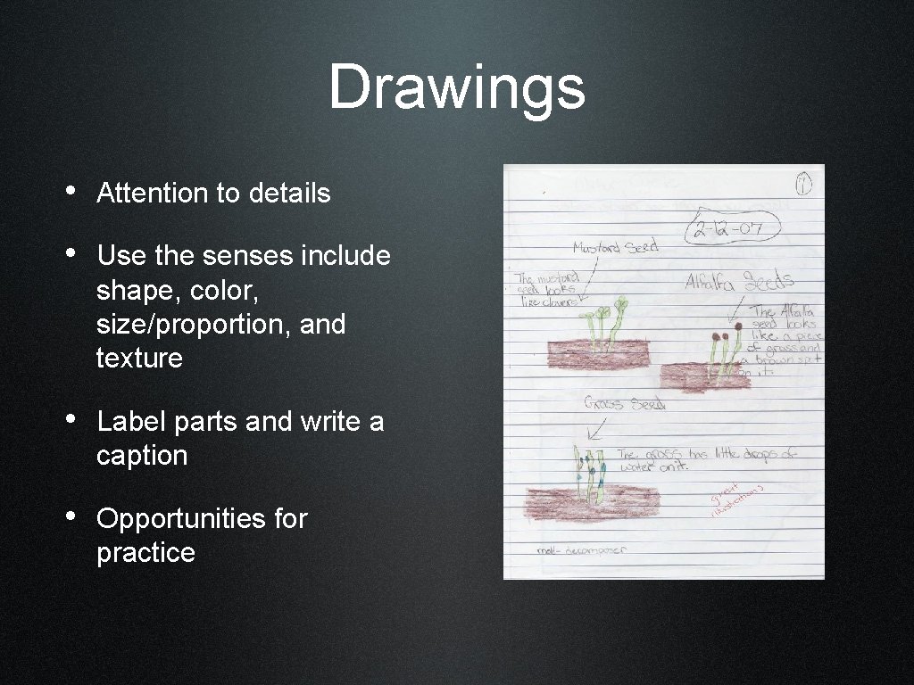 Drawings • Attention to details • Use the senses include shape, color, size/proportion, and