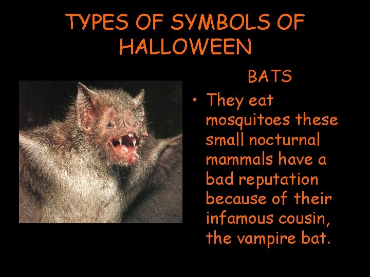 TYPES OF SYMBOLS OF HALLOWEEN BATS • They eat mosquitoes these small nocturnal mammals