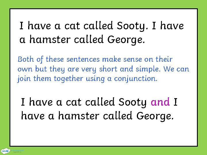 I have a cat called Sooty. I have a hamster called George. Both of
