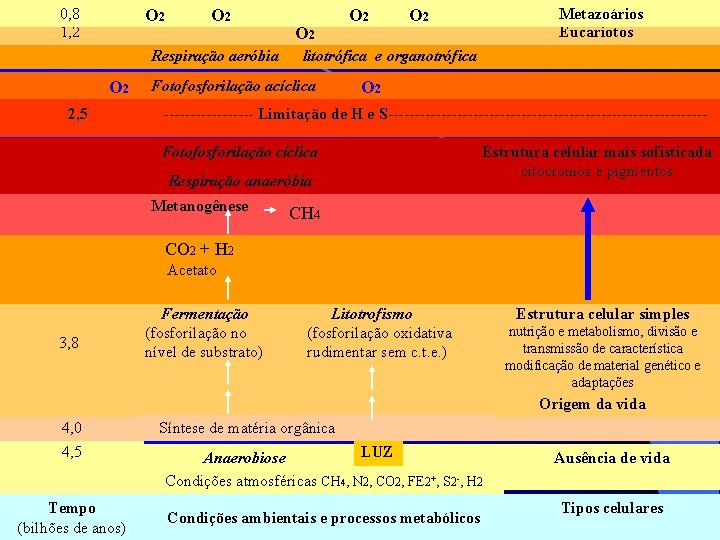 0, 8 1, 2 O 2 Respiração aeróbia O 2 2, 5 O 2