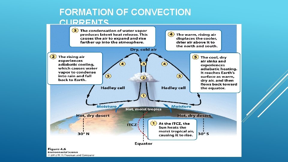 FORMATION OF CONVECTION CURRENTS 