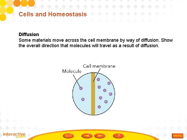 Cells and Homeostasis Diffusion Some materials move across the cell membrane by way of