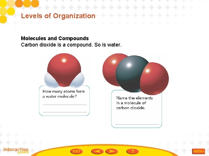 Levels of Organization Molecules and Compounds Carbon dioxide is a compound. So is water.