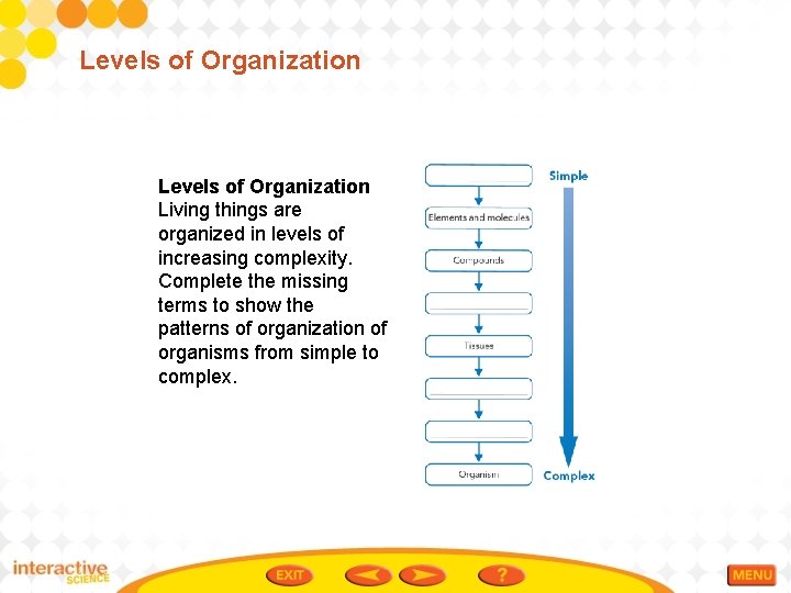 Levels of Organization Living things are organized in levels of increasing complexity. Complete the