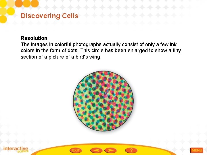 Discovering Cells Resolution The images in colorful photographs actually consist of only a few