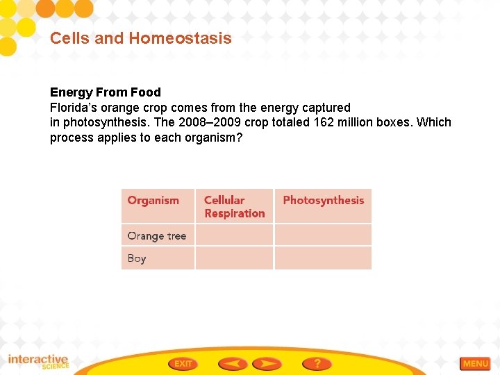 Cells and Homeostasis Energy From Food Florida’s orange crop comes from the energy captured