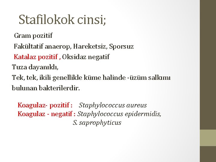 Stafilokok cinsi; Gram pozitif Fakültatif anaerop, Hareketsiz, Sporsuz Katalaz pozitif , Oksidaz negatif Tuza