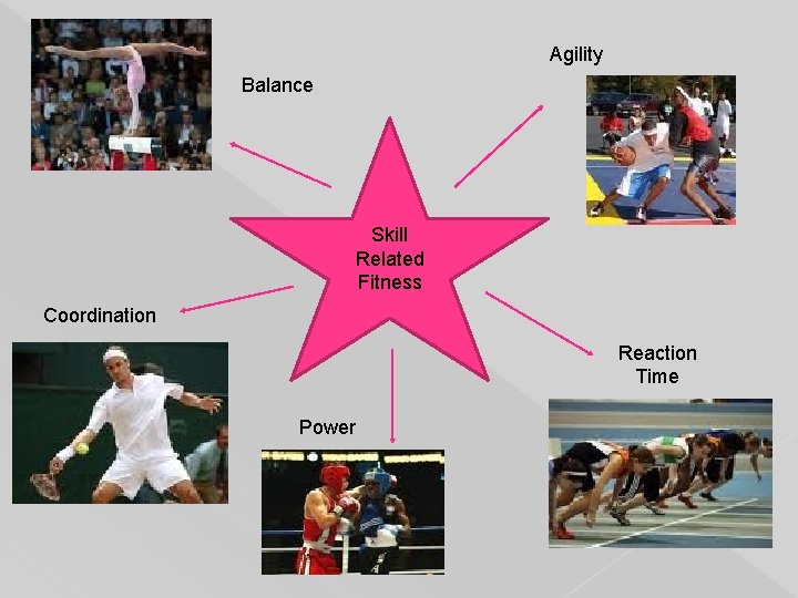 Agility Balance Skill Related Fitness Coordination Reaction Time Power 